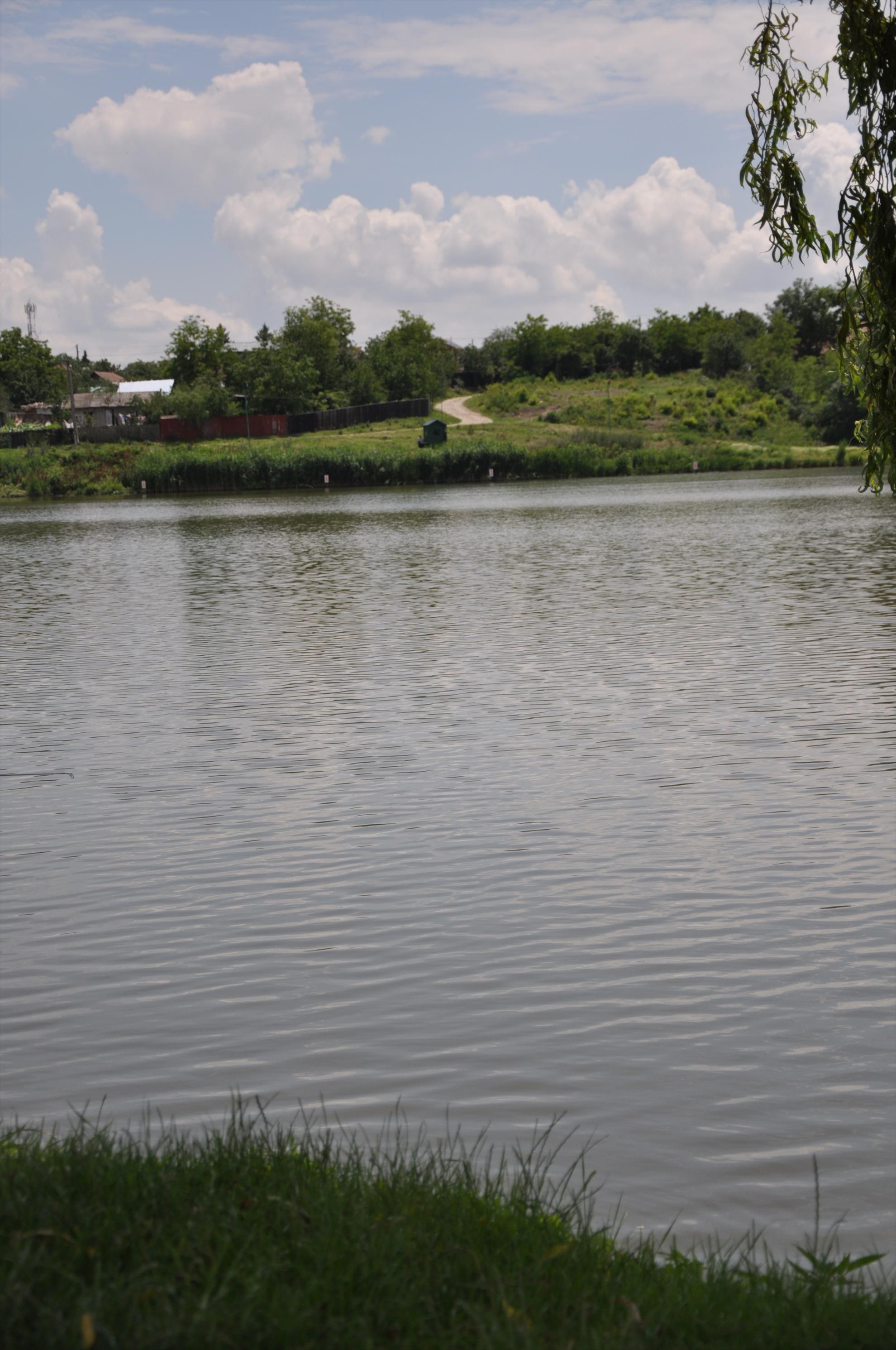 MV 2/2- 09/06/2013 - dsc0028.JPG